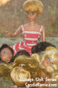 IMG_0462 IMG_0462