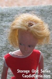 IMG_0492 IMG_0492