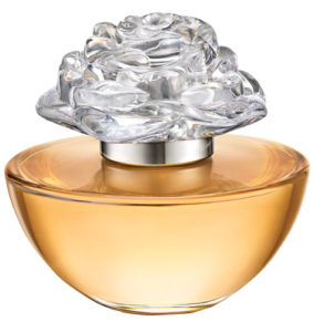 blog bloom